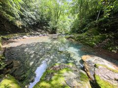 -西岭雪山大飞水景区