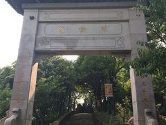 -雨花胜境