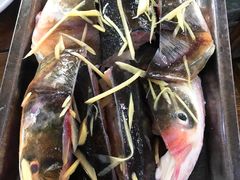 -肥婆麻辣火锅.顺德首创药材麻辣火锅(容桂店)