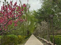 -元大都城垣遗址公园