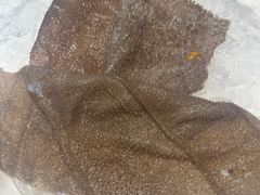 -二荆条·蜀鲜汇城市森林火锅