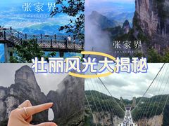 -张家界天门山国家森林公园