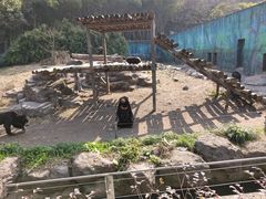 -宁波野生动物园