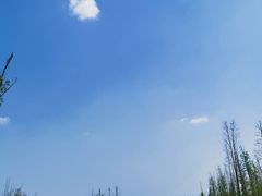 -白鹭湾湿地公园