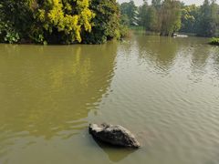 -海珠湖公园