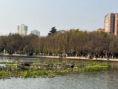-翠湖公园