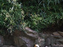 -兰亭风景区