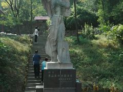 -原山国家森林公园