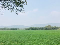 -山沟沟景区