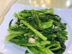 -老字号蛇口德记烧腊饭店·海鲜加工