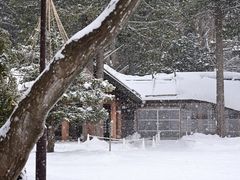 -北海道神宫