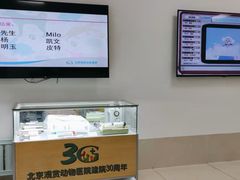 -北京观赏动物医院·24小时大型综合·猫专科·异宠专科