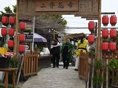 -空港花田景区