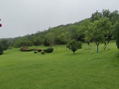 -棒棰岛宾馆景区