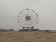 -碧海金沙