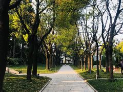 -宋庆龄陵园