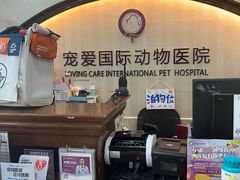 -宠爱国际动物医院·消化内科·心肾内科·ISFM猫友好(望京店)