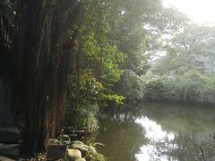 -黄埔古港
