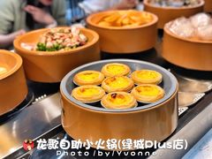 -龍歌自助小火锅(李沧丽达店)