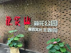 -陈家山荷花公园