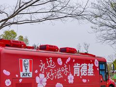 -苏州上方山国家森林公园