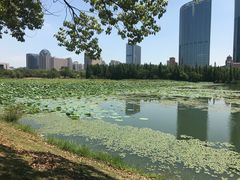 -艾溪湖湿地公园