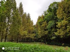 -金山公园