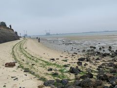 -北海金海湾红树林生态旅游区