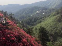 -木兰云雾山