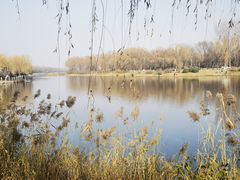 -稻香湖公园