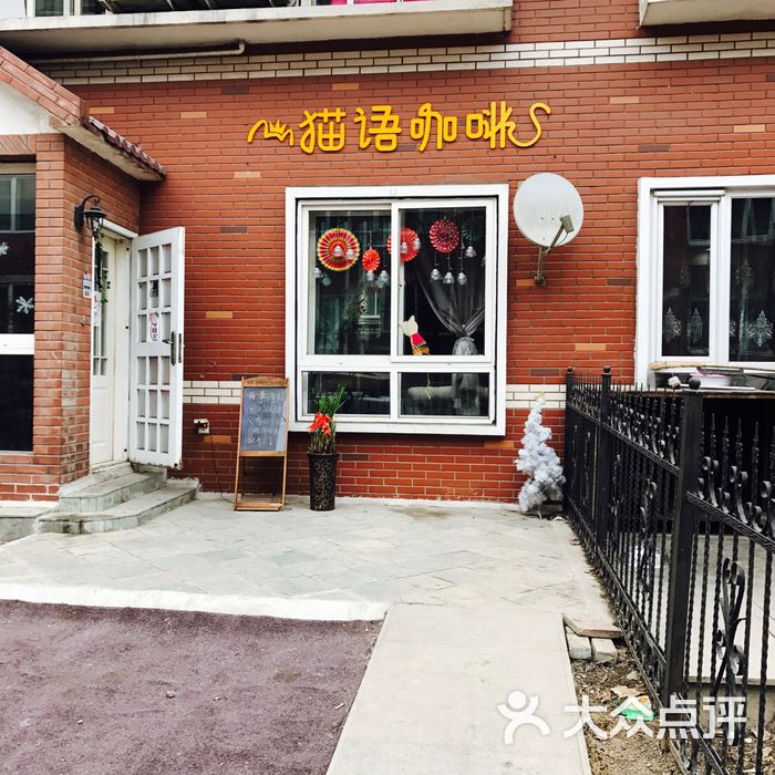 猫咖啡·猫主题·猫语coffee