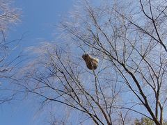 -同里国家湿地公园