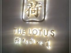 -几荷·恰似故人来(秀水广场店)