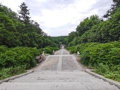 -宜兴龙背山森林公园