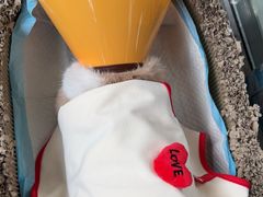 -御宝贝·A梦猫科宠物医院(国际猫友好医院)