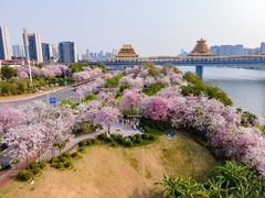 -柳侯公园