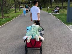 -东郊湿地公园