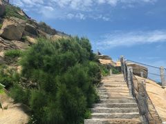 -5号餐厅
