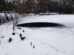 -北海道神宫