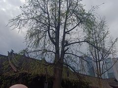 -古大圣慈寺