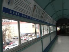 -青岛市市立医院(本部)