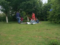 -铁山坪森林公园