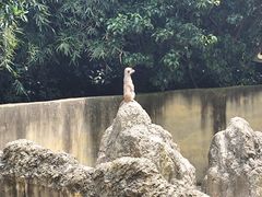 -宁波野生动物园