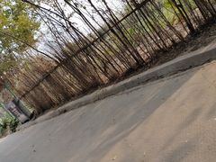 -绿堤公园
