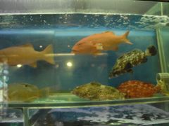 城市花园酒店-香港城市花园酒店