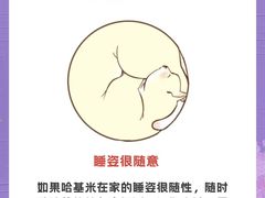 -凯特喵百思猫专科医院
