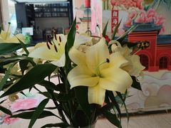 -洛阳宴·洛阳菜(南昌路店)