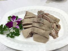 -鹅城