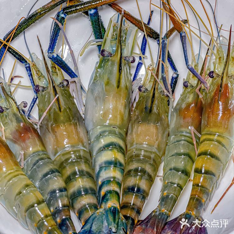 广州1⃣秒爆膏的罗氏虾🦐让我欲罢不能‼