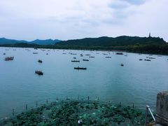 -湖畔居茶楼(湖滨店)